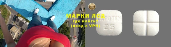 a pvp Гусев