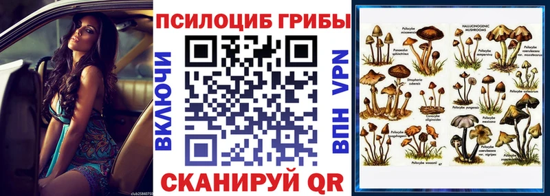 Галлюциногенные грибы Psilocybine cubensis  Минеральные Воды 