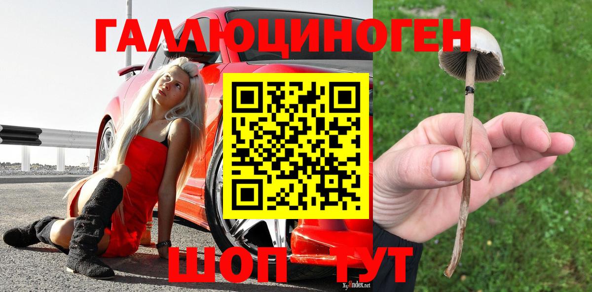 Галлюциногенные грибы Magic Shrooms Минеральные Воды